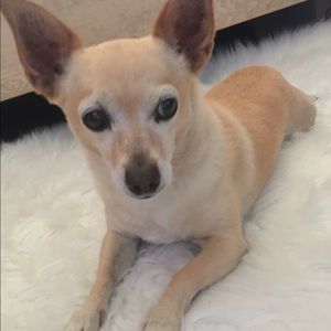 Meet your Posher, Nanci